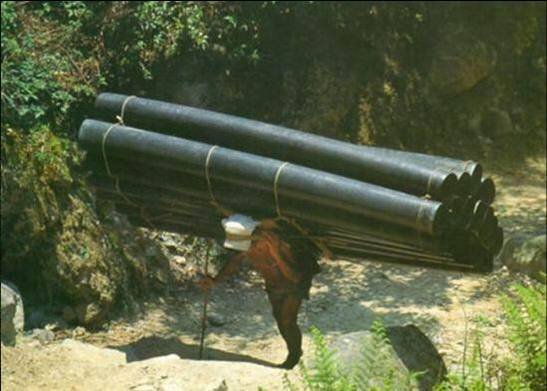 Picture1.jpg