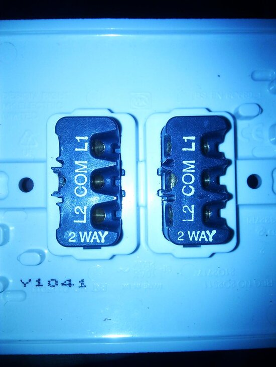 IMAG0536.jpg