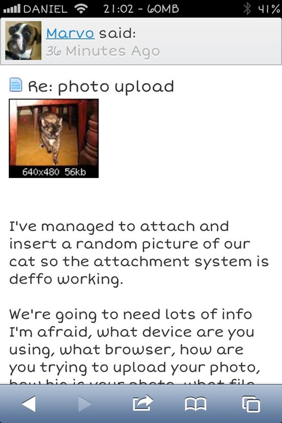 ImageUploadedByTapatalk1368388966.544625.jpg