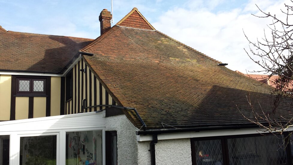 Back roof.jpg