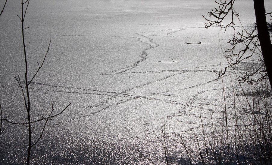 Frozen Tarn Hows.jpg