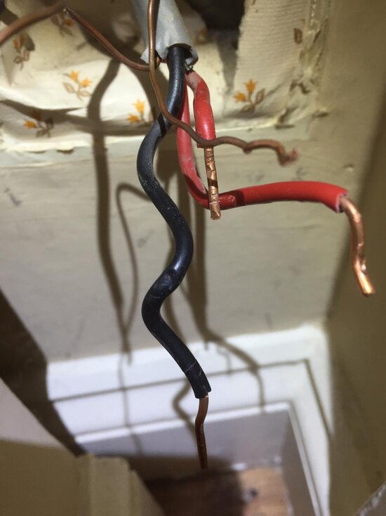 image.jpg
