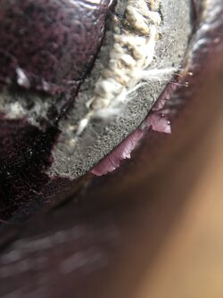IMG_4875.JPG