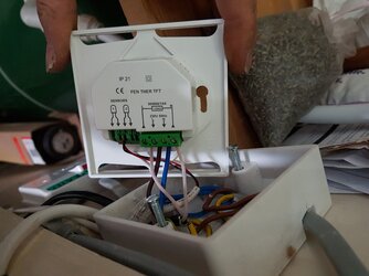 20190425_173406.jpg
