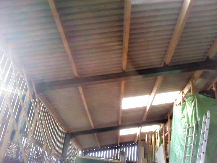 IMG_20111006_091752.jpg