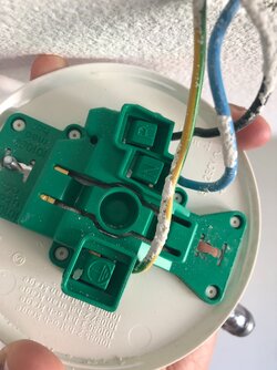 Image from iOS (1).jpg