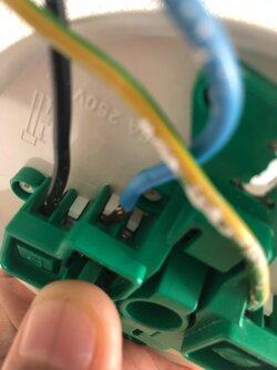 Image from iOS (6).jpg