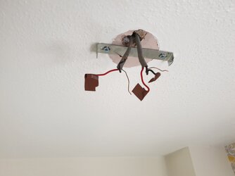 20191001_130157.jpg