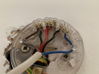 E03452A0-0980-4D30-ADE6-E67C38B3D7B8.jpeg