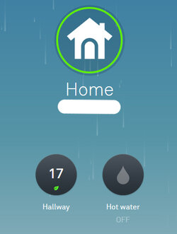 Nest temp.jpg