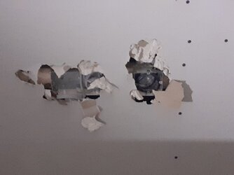 20201117_105053.jpg