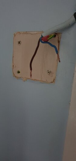 20201128_150425.jpg