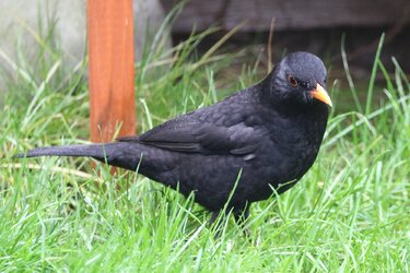 20201206_164304.jpg