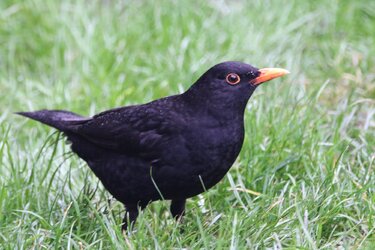 20201206_164257.jpg