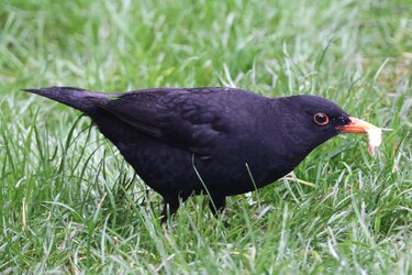 20201206_164251.jpg