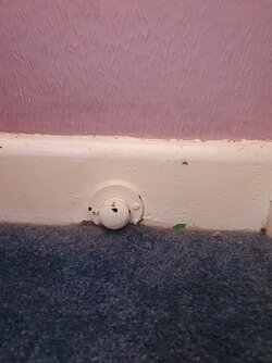 20210313_120222.jpg