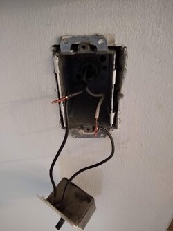 IMG_20210407_074741550.jpg