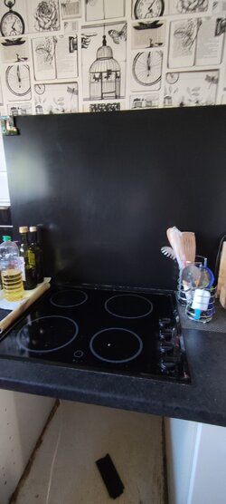 IMG_20210608_141937 - Copy.jpg