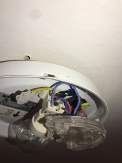 image2 (3).jpeg