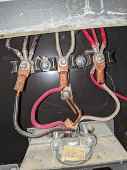 PXL_20211004_014520400.jpg