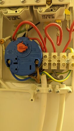 PXL_20220304_171555290.jpg