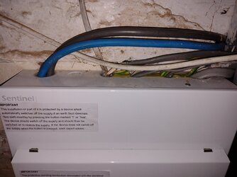 IMG_20220526_192504234 (1).jpg