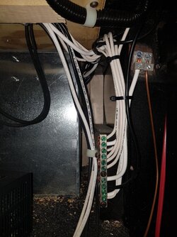 20220714_131428.jpg
