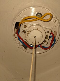 PXL_20220814_102605160.jpg