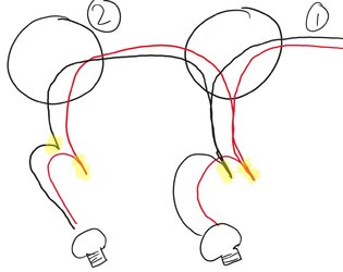 wiring.jpg