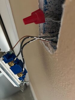 IMG_0468.jpg