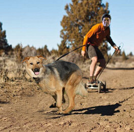 Tony Skateboard.jpg