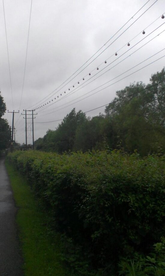 IMAG0041.jpg