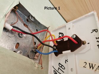 Picture 1.jpg