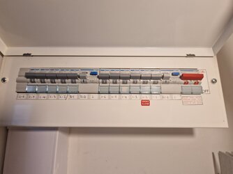 20230115_124923.jpg