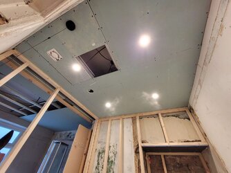 downlights in suspended ceiling.jpg