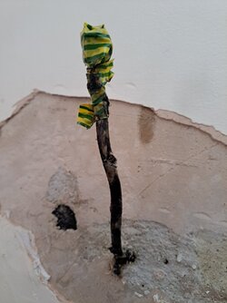 tar2.1.jpg