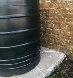 IMG_2298.jpeg