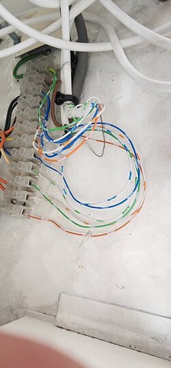 20230430_142345.jpg