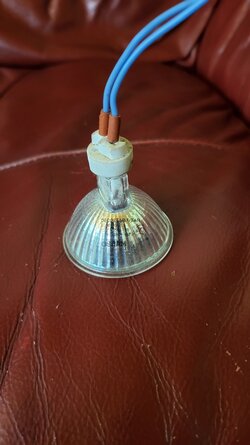 20230701_150646.jpg