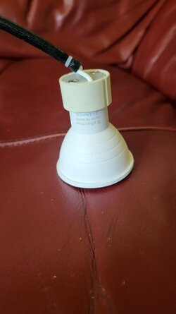 20230701_150711.jpg