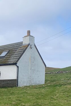 f9d52579-6cc8-4bf9-aaf3-4c32d96c3cc6.JPG