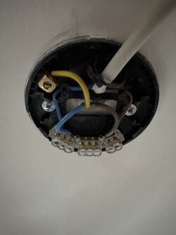 IMG_0089.jpeg