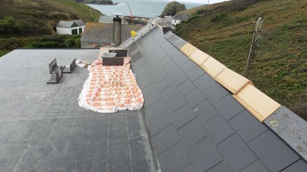 ROOF2.jpg