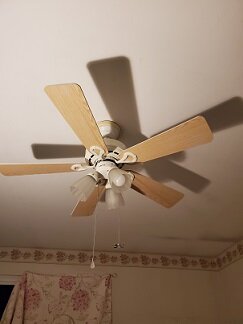 Ceiling fan w_lights.jpg