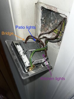 IMG_1083.jpeg