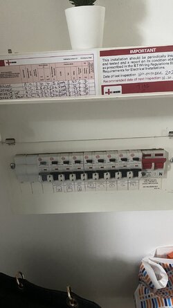 IMG_6586.jpeg