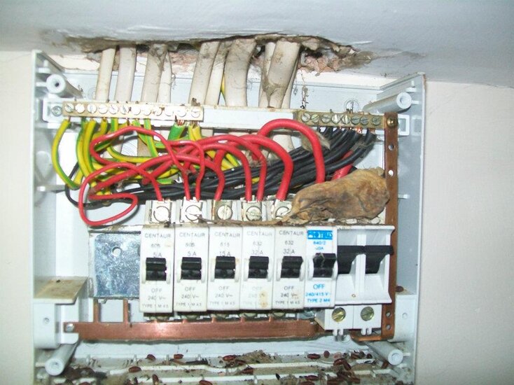 quality cef product.jpg