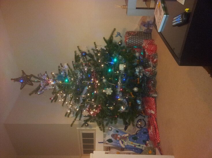20121208_200442.jpg